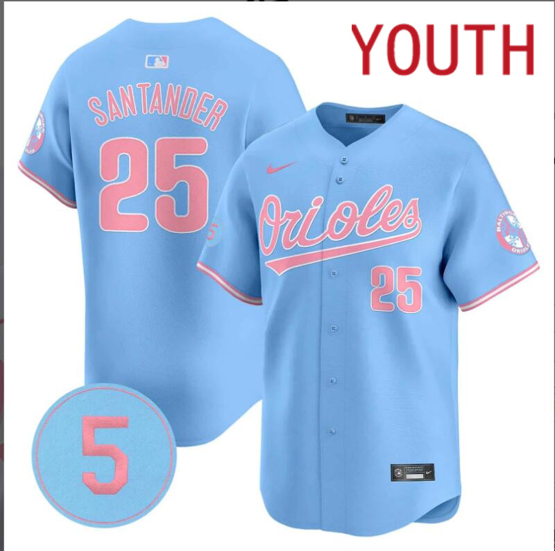 Youth Baltimore Orioles #25 Santander blue 2024 Nike MLB jersey